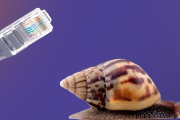 Ноутбук тормозит в интернете