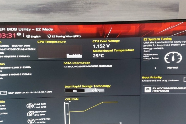 Компьютер зависает при запуске BIOS